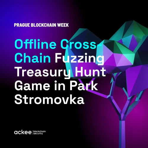 Offline Cross-Chain Fuzzing Treasury Hunt Game